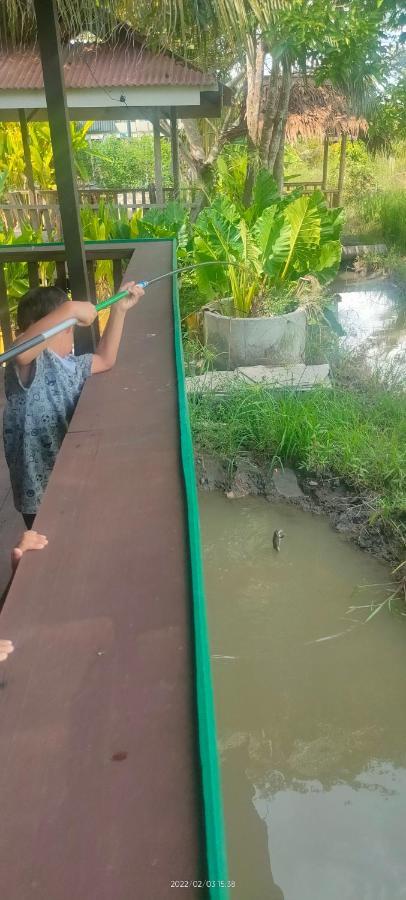 Mat Hj Limah Farm stay
