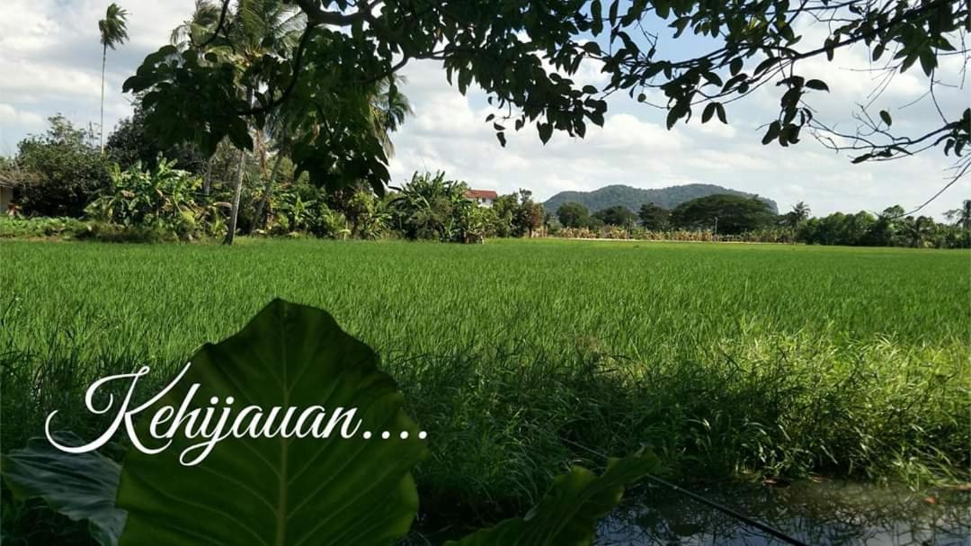 Mat Hj Limah Farm stay
