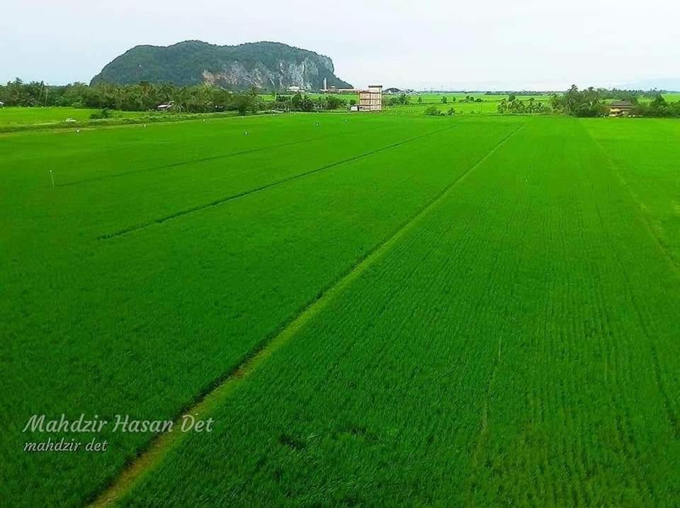 Farm stay Mat Hj Limah *