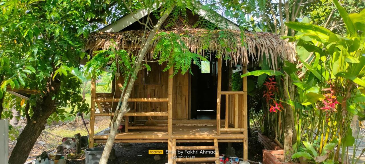 Farm stay Mat Hj Limah *